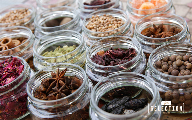 GIN-SELECTION-TONIC-GINEBRA-TONICA-10-botánicos