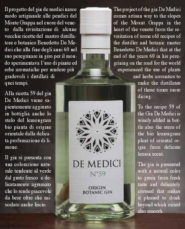 prefazione gin de medici-page-001.jpg